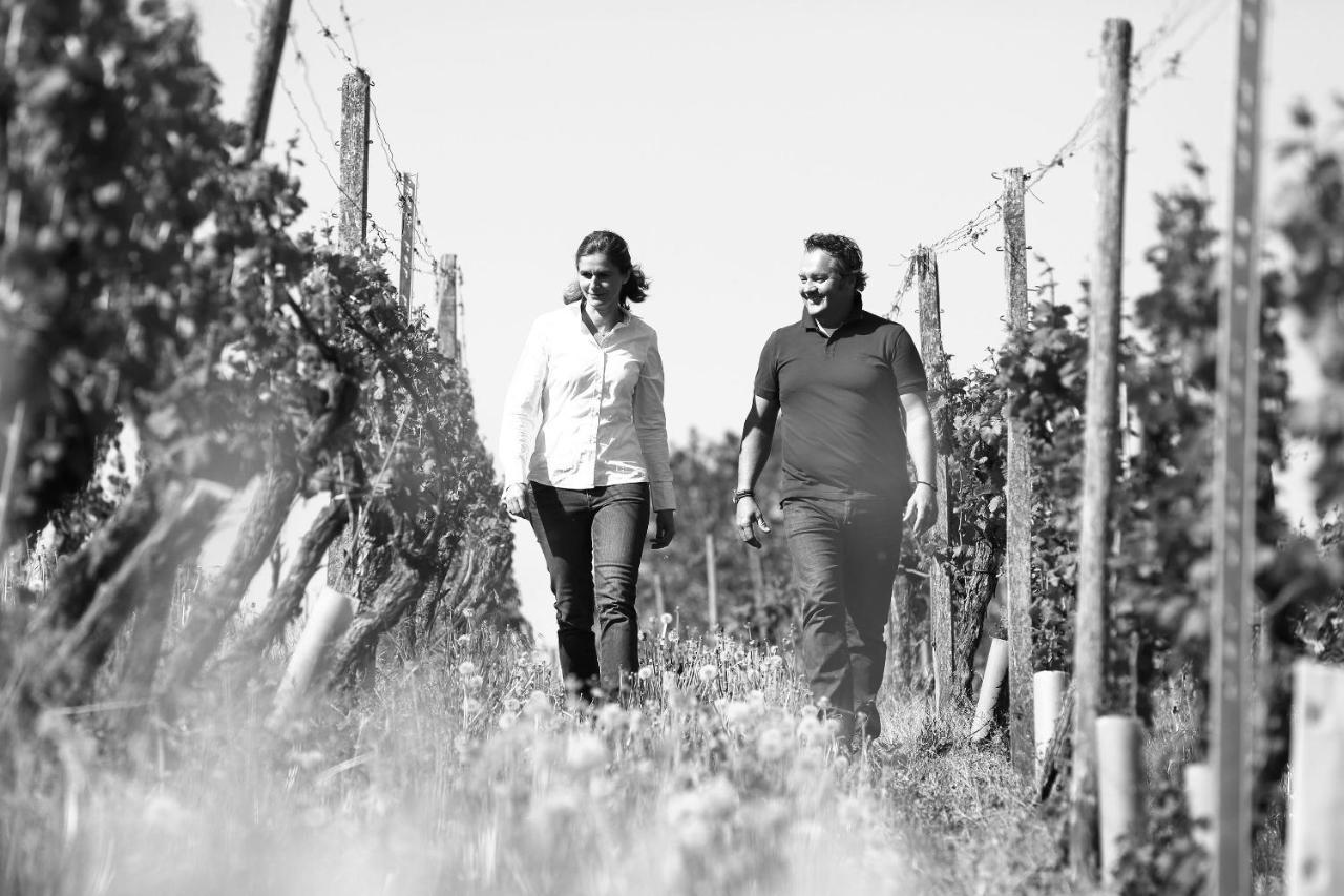 Weingut Matthias Dostert / Culinarium Hotel นิทเทอ ภายนอก รูปภาพ